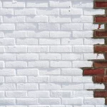 Foto: Viktor Forgacs / Unsplash