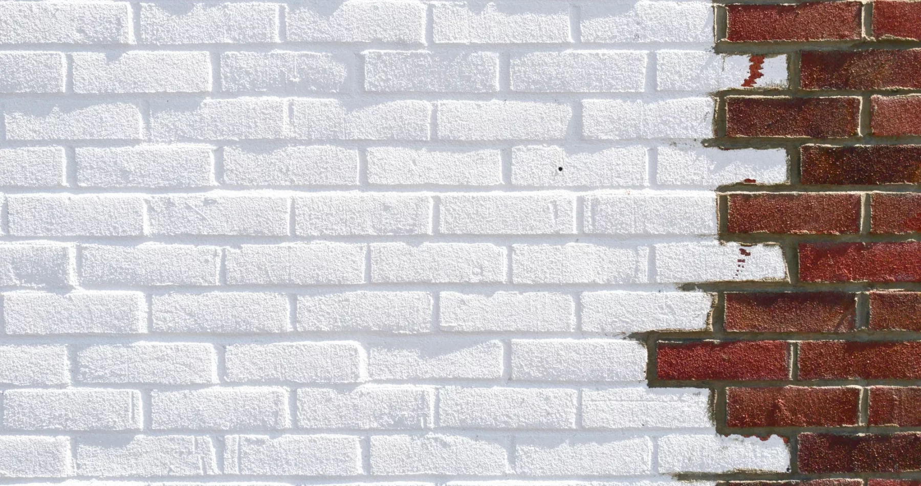 Foto: Viktor Forgacs / Unsplash